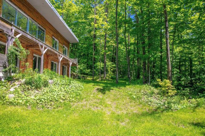 Le terrain en herbe le long du chalet, bordé par le sous-bois